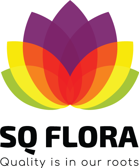 Logo SQ Flora