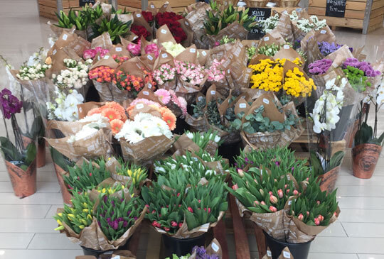 Trade marketing flowers